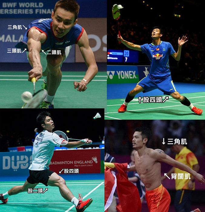 top badminton players' muscle