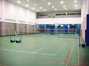 板樹體育館-羽球場